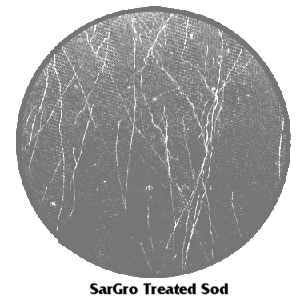 SarGro Treated Sod